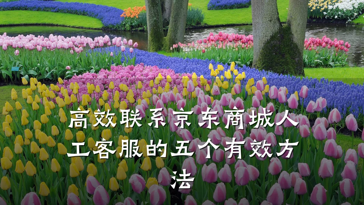 高效联系京东商城人工客服的五个有效方法