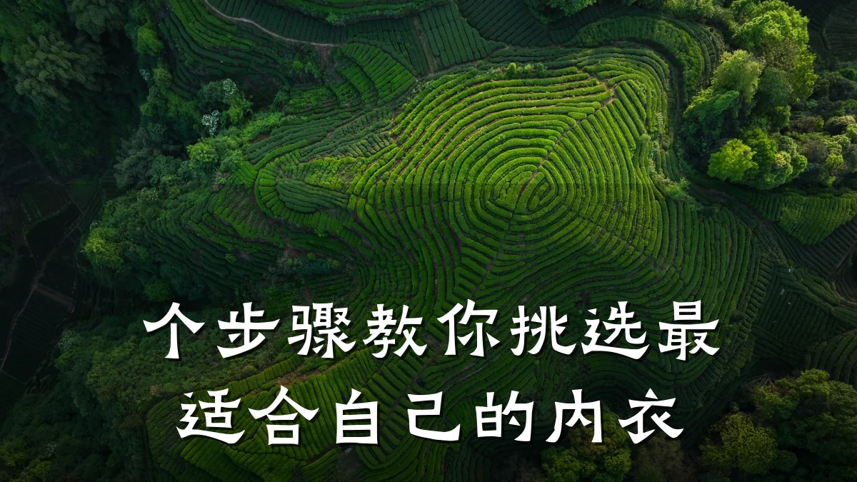 个步骤教你挑选最适合自己的内衣