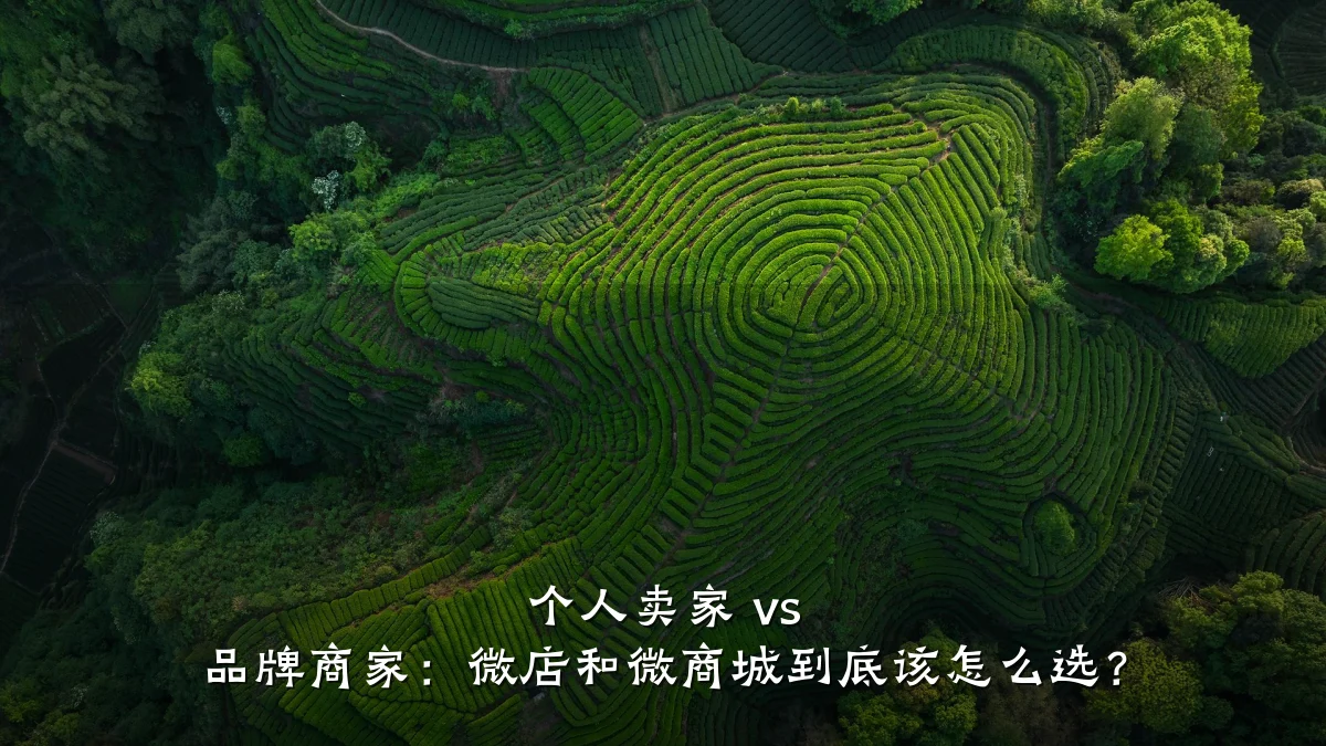 个人卖家 vs 品牌商家：微店和微商城到底该怎么选？