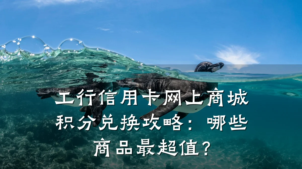工行信用卡网上商城积分兑换攻略：哪些商品最超值？