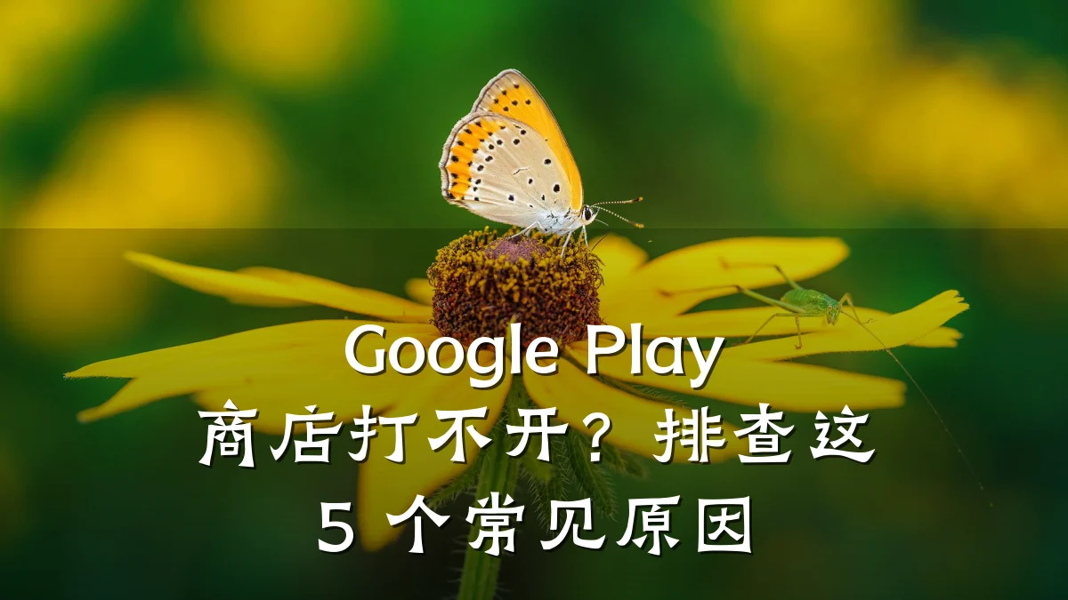 Google Play 商店打不开?排查这 5 个常见原因