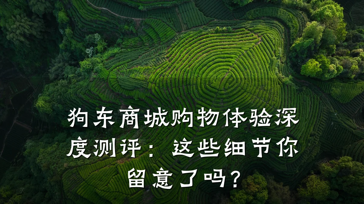 狗东商城购物体验深度测评：这些细节你留意了吗？