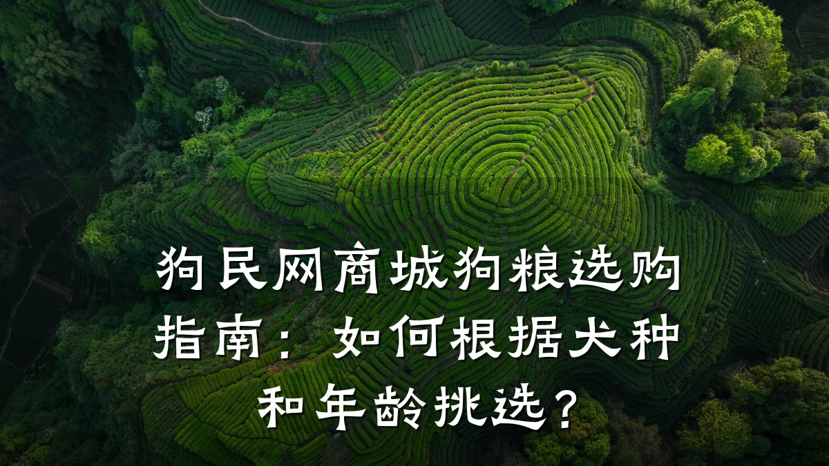 狗民网商城狗粮选购指南：如何根据犬种和年龄挑选？