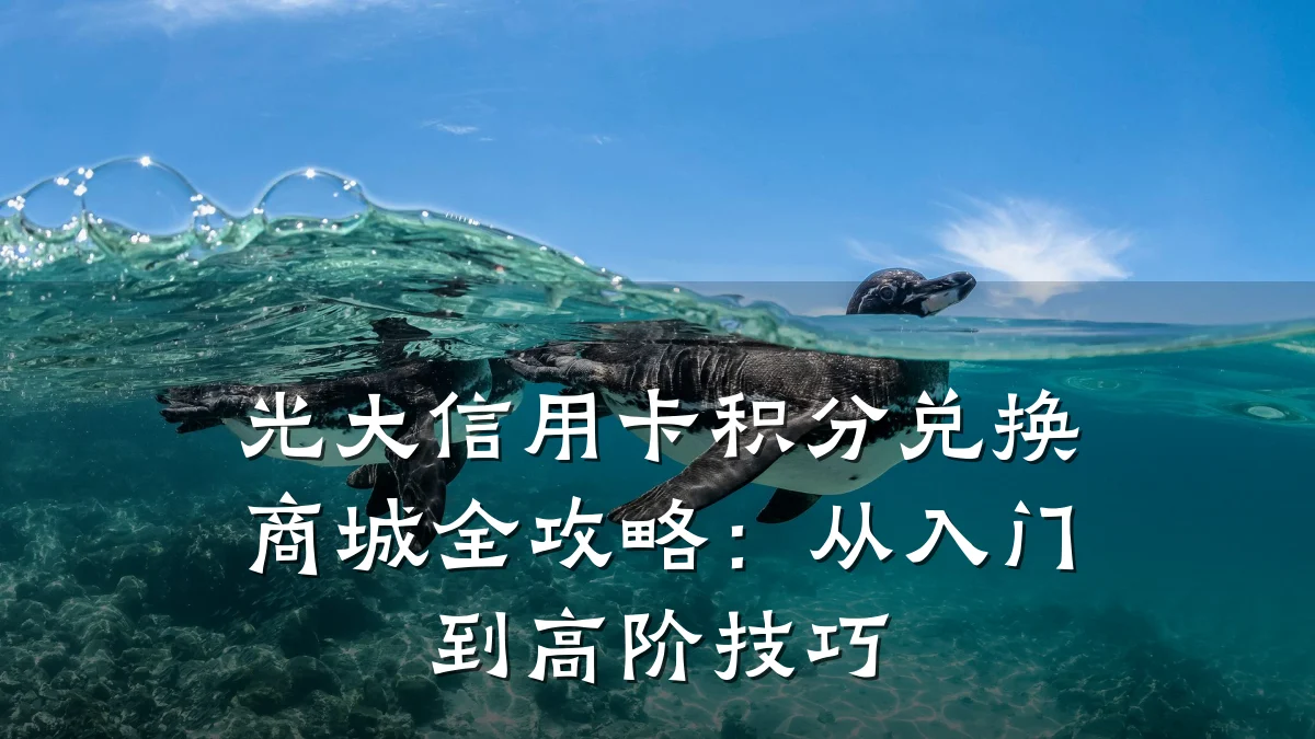 光大信用卡积分兑换商城全攻略：从入门到高阶技巧