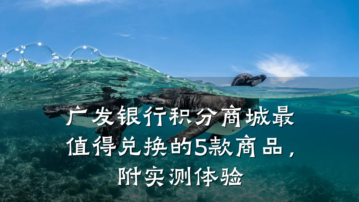 广发银行积分商城最值得兑换的5款商品,附实测体验