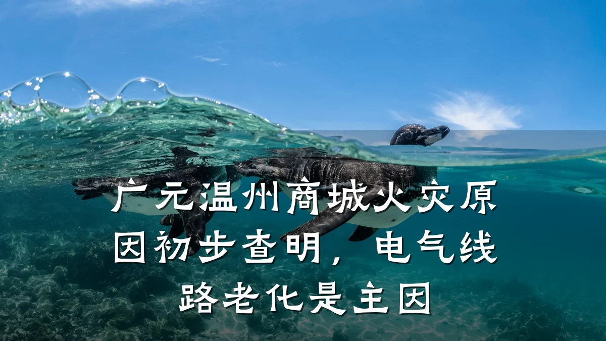 广元温州商城火灾原因初步查明，电气线路老化是主因