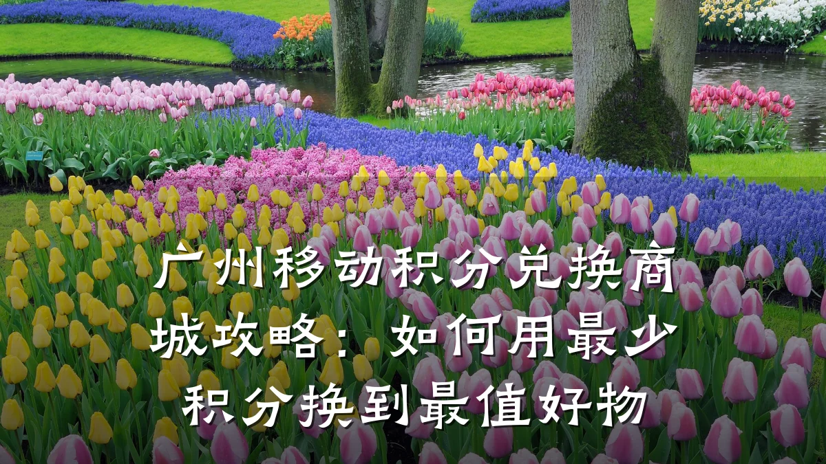 广州移动积分兑换商城攻略：如何用最少积分换到最值好物