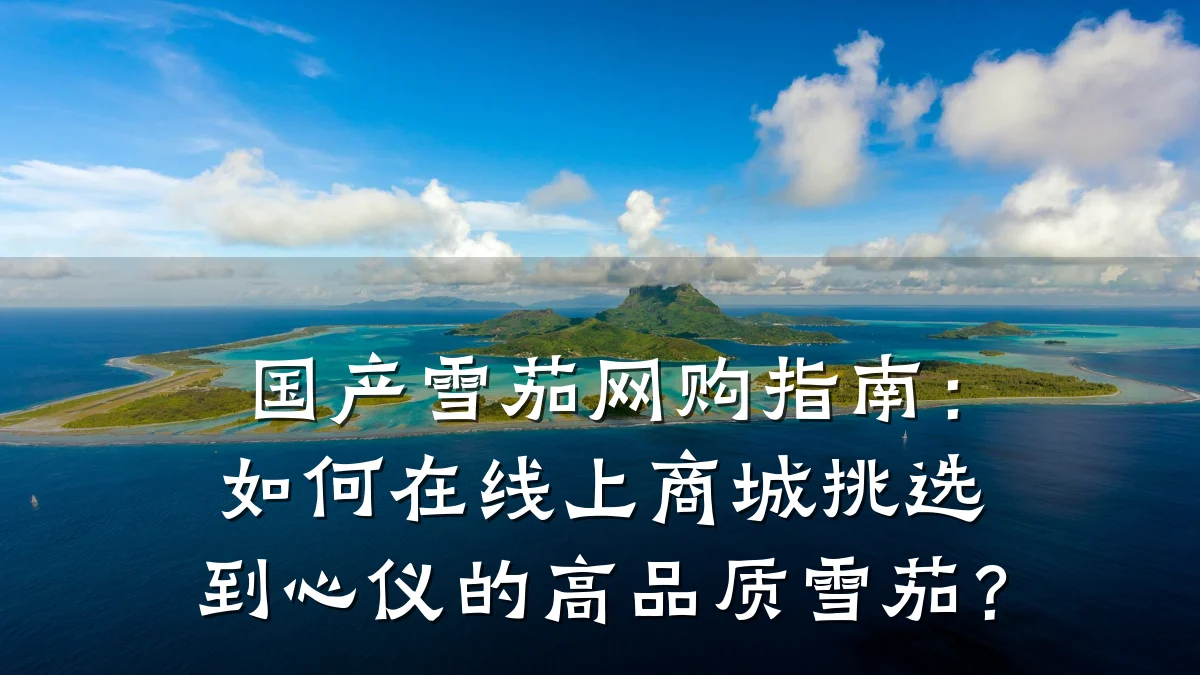 国产雪茄网购指南：如何在线上商城挑选到心仪的高品质雪茄？