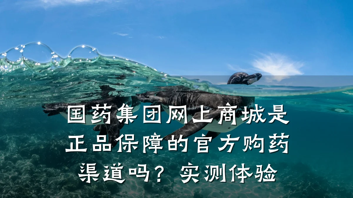 国药集团网上商城是正品保障的官方购药渠道吗?实测体验