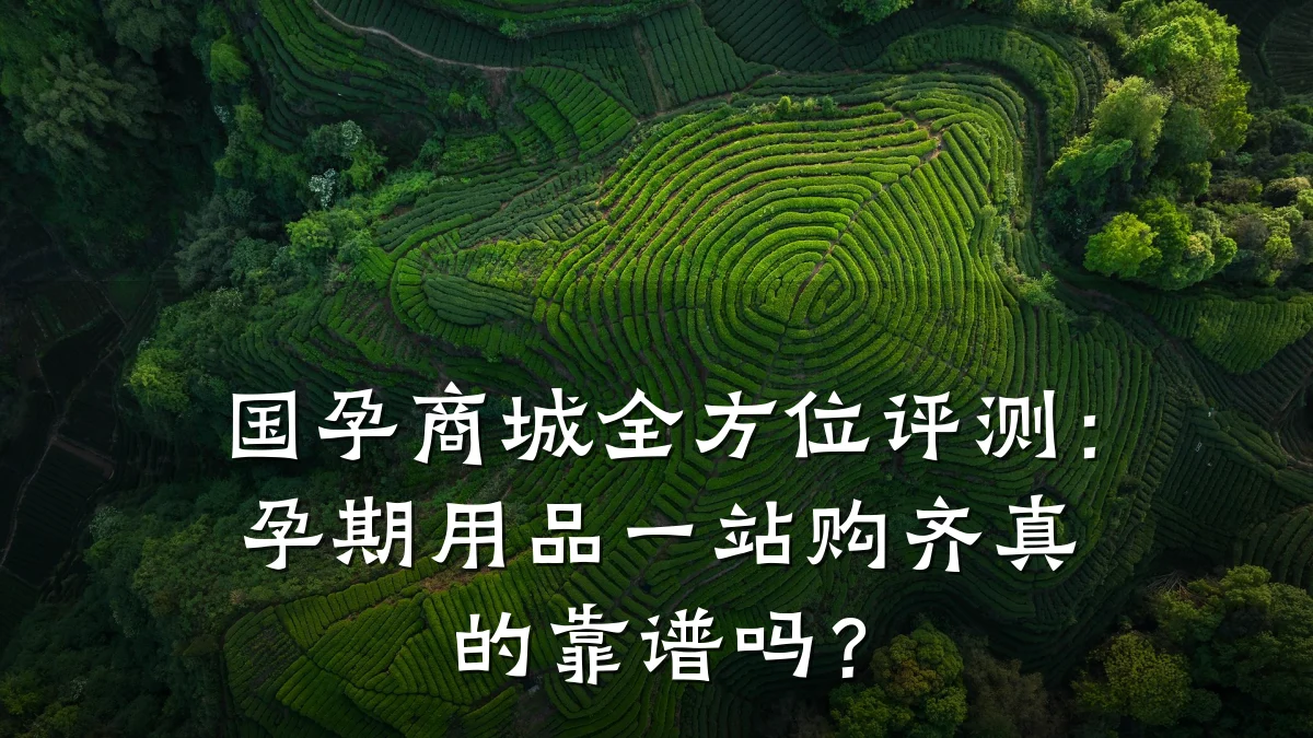 国孕商城全方位评测:孕期用品一站购齐真的靠谱吗?