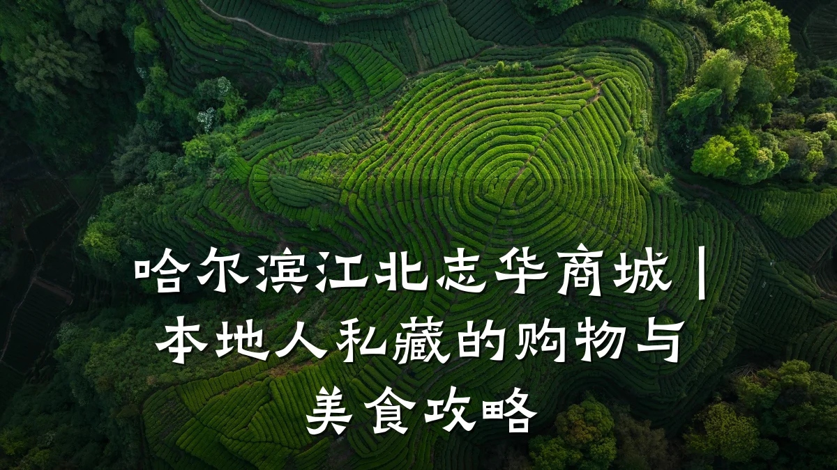 哈尔滨江北志华商城｜本地人私藏的购物与美食攻略