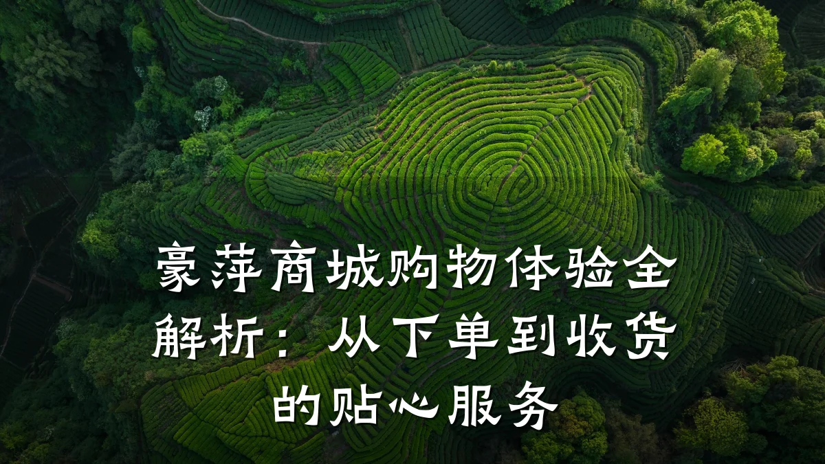 豪萍商城购物体验全解析：从下单到收货的贴心服务