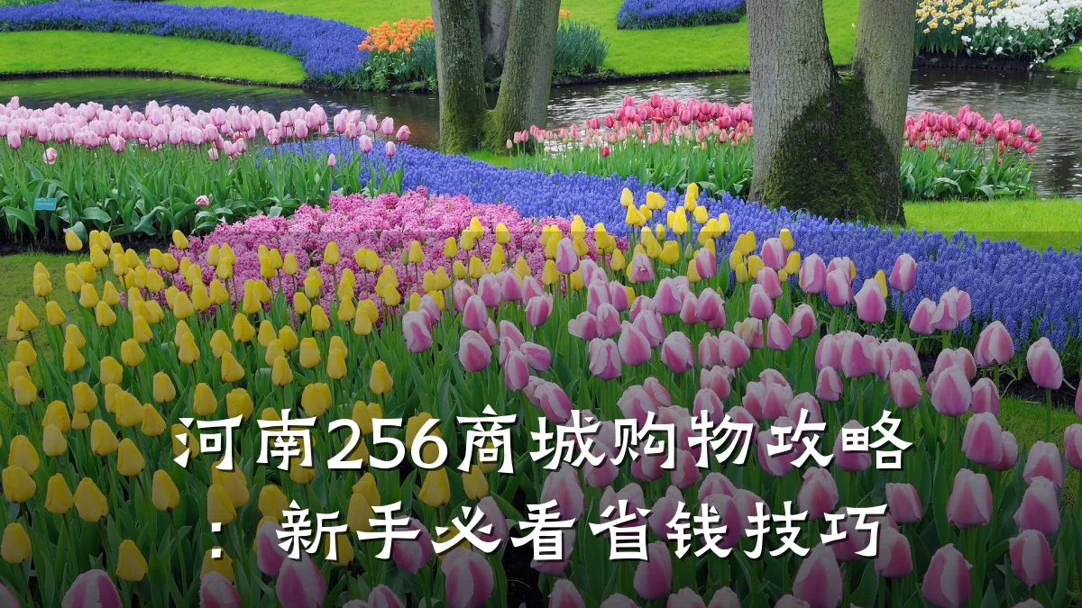 河南256商城购物攻略:新手必看省钱技巧