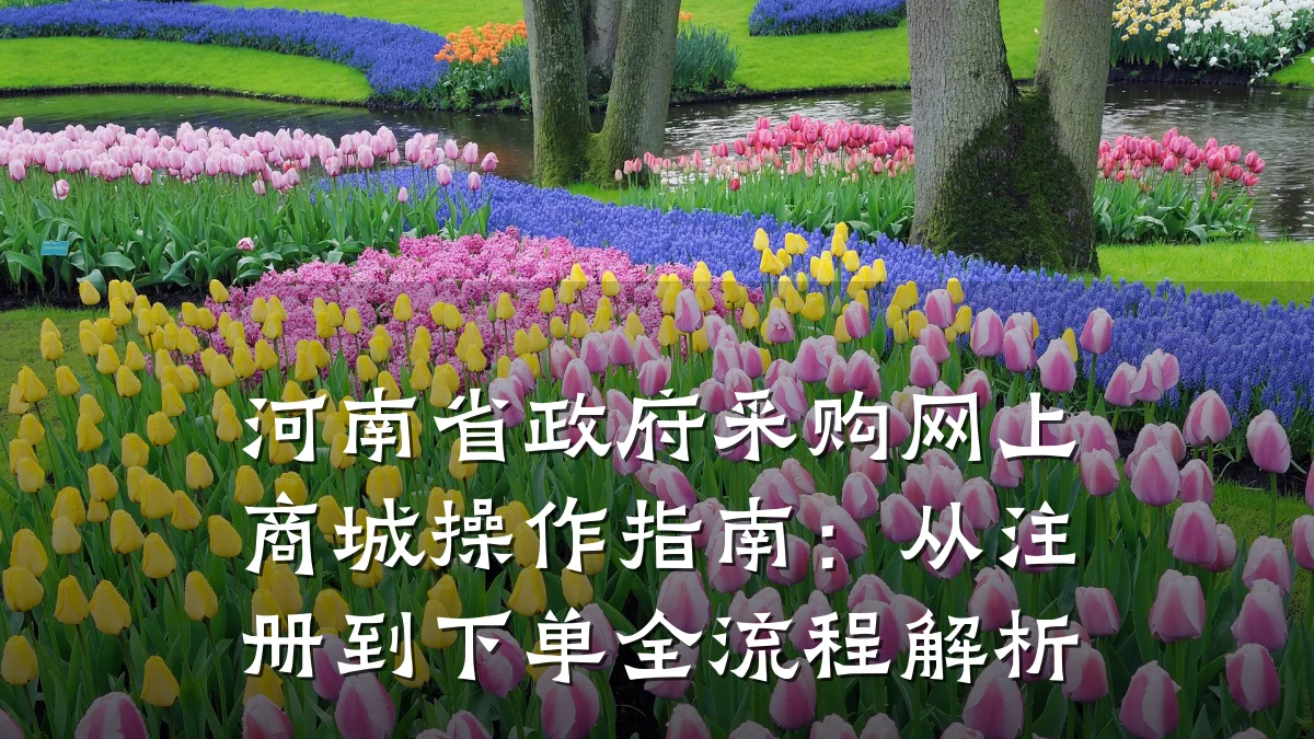 河南省政府采购网上商城操作指南:从注册到下单全流程解析