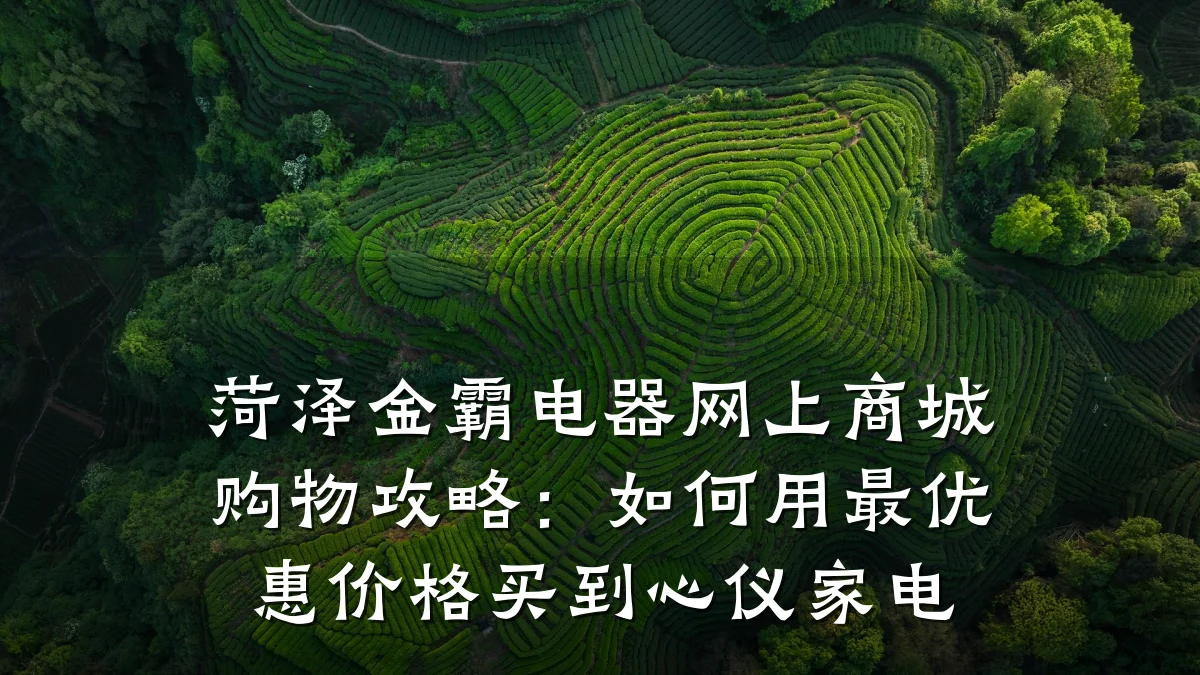 菏泽金霸电器网上商城购物攻略:如何用最优惠价格买到心仪家电