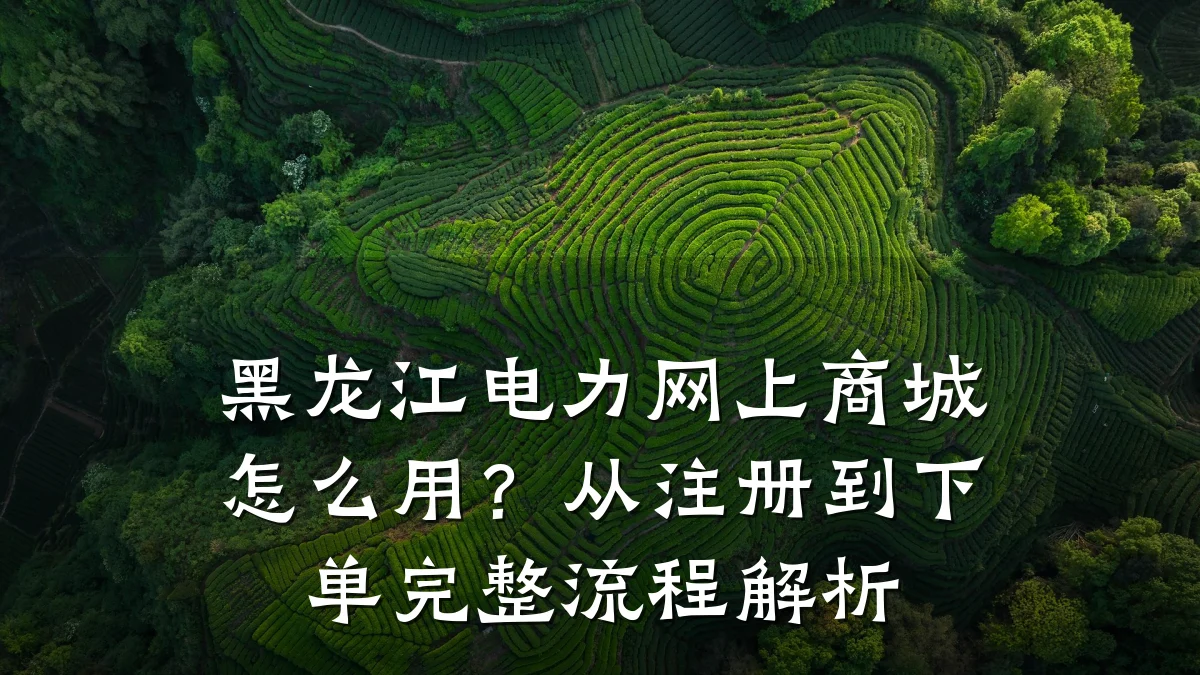 黑龙江电力网上商城怎么用?从注册到下单完整流程解析