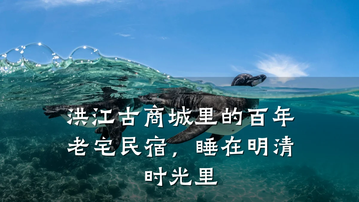 洪江古商城里的百年老宅民宿,睡在明清时光里