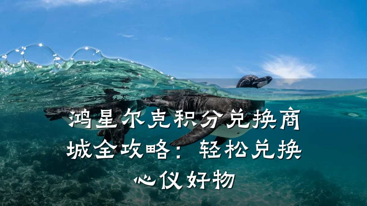 鸿星尔克积分兑换商城全攻略：轻松兑换心仪好物