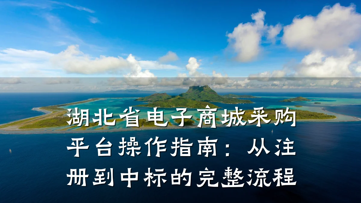 湖北省电子商城采购平台操作指南:从注册到中标的完整流程