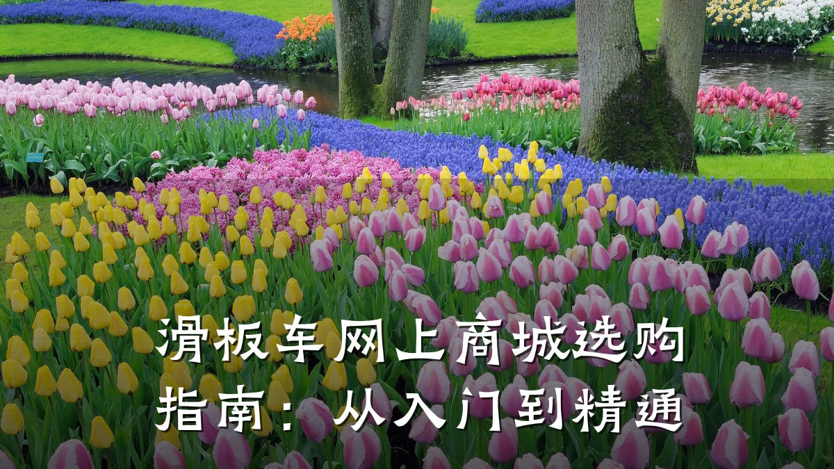 滑板车网上商城选购指南：从入门到精通