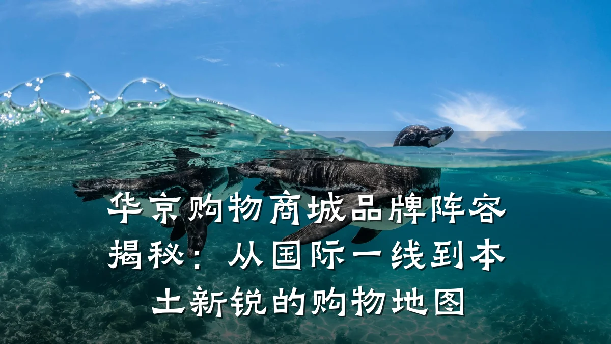 华京购物商城品牌阵容揭秘:从国际一线到本土新锐的购物地图