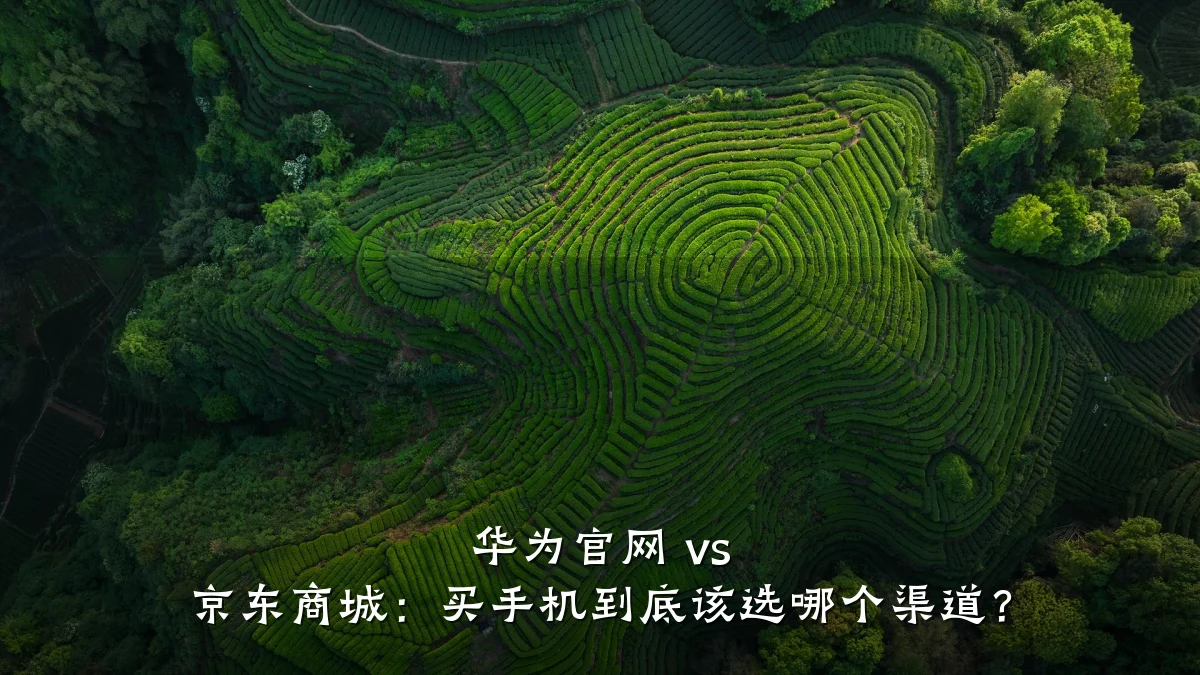 华为官网 vs 京东商城：买手机到底该选哪个渠道？