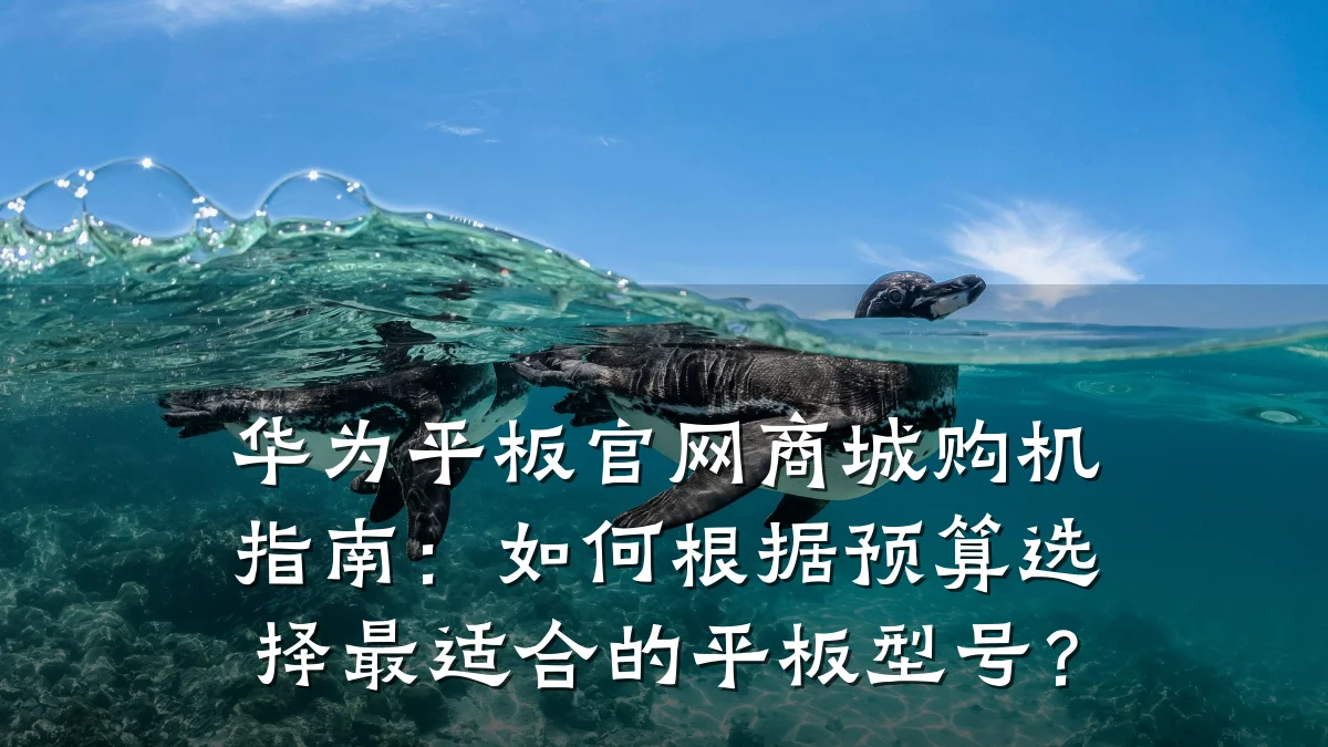 华为平板官网商城购机指南：如何根据预算选择最适合的平板型号？