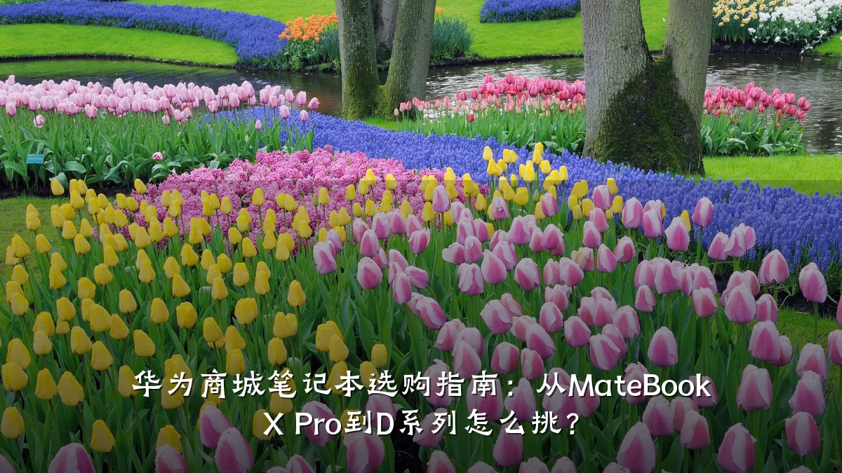 华为商城笔记本选购指南：从MateBook X Pro到D系列怎么挑？