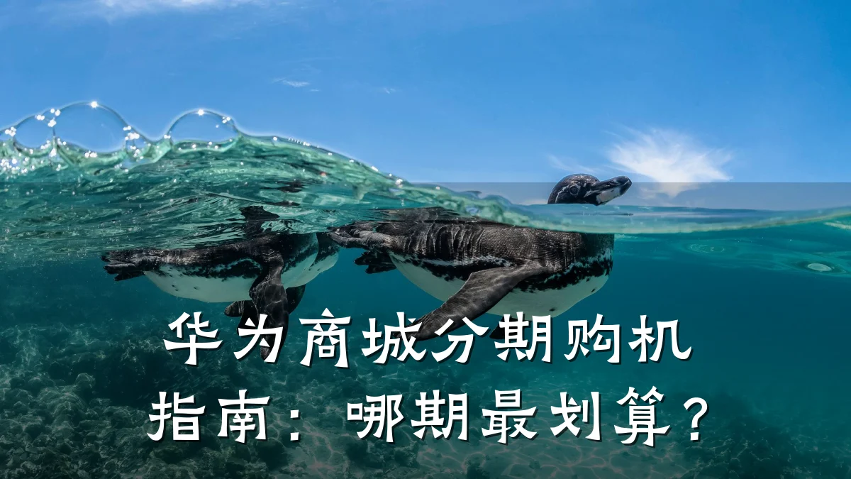 华为商城分期购机指南：哪期最划算？