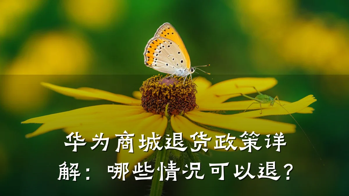 华为商城退货政策详解:哪些情况可以退?