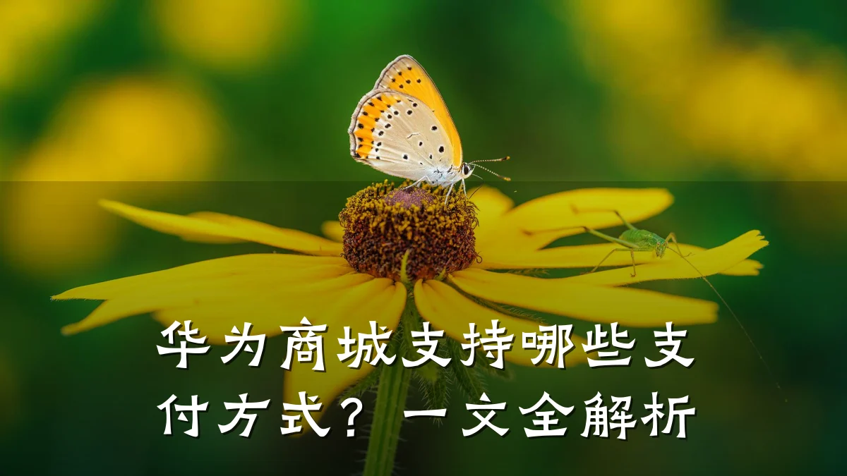 华为商城支持哪些支付方式？一文全解析