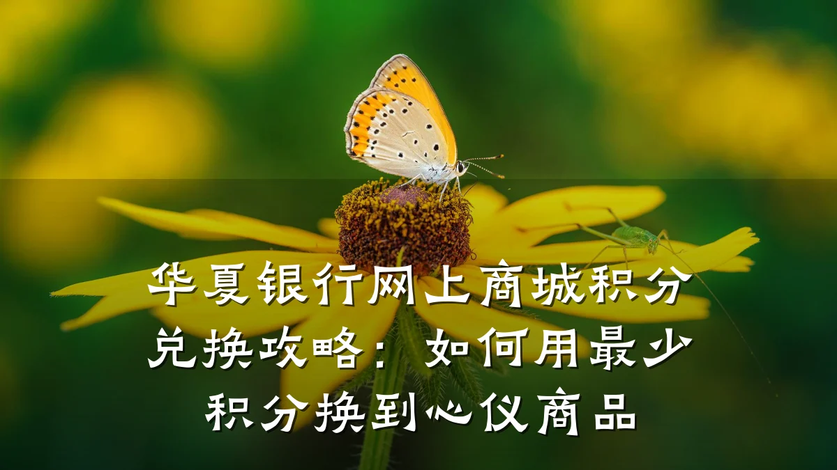 华夏银行网上商城积分兑换攻略:如何用最少积分换到心仪商品