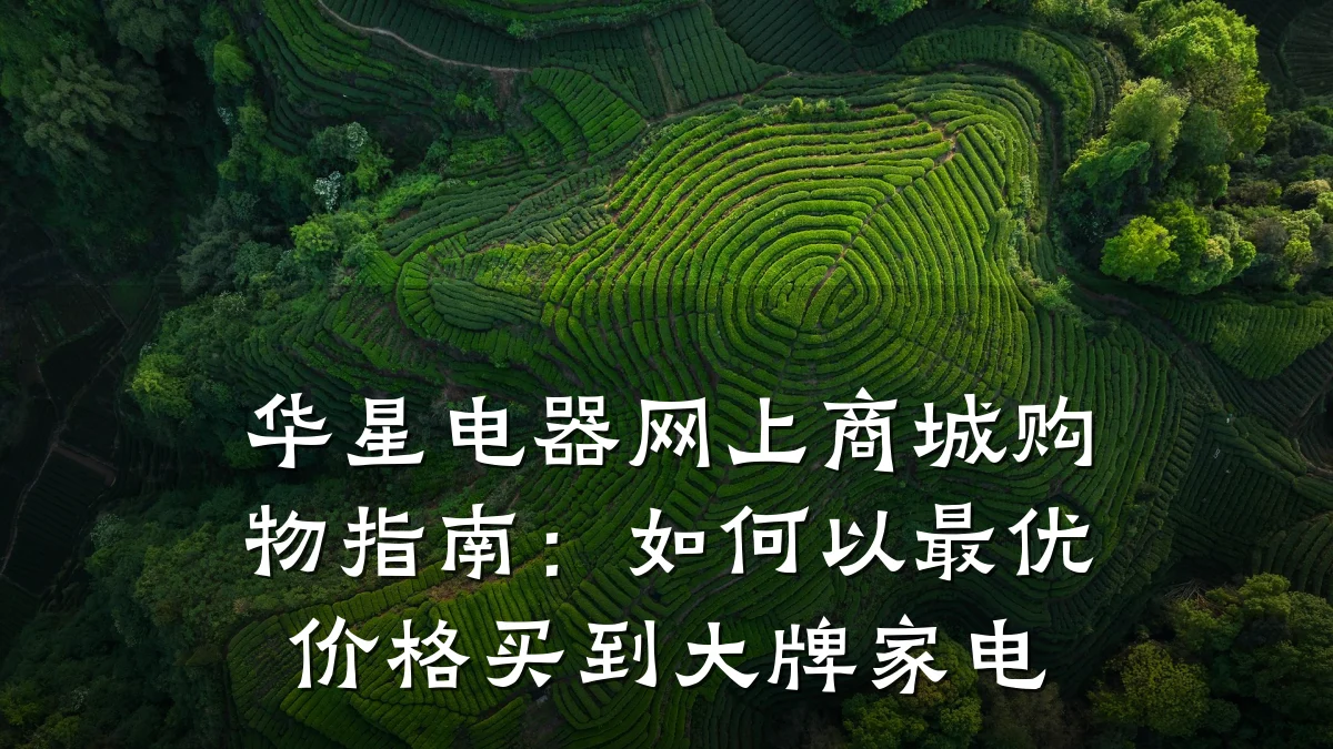 华星电器网上商城购物指南：如何以最优价格买到大牌家电