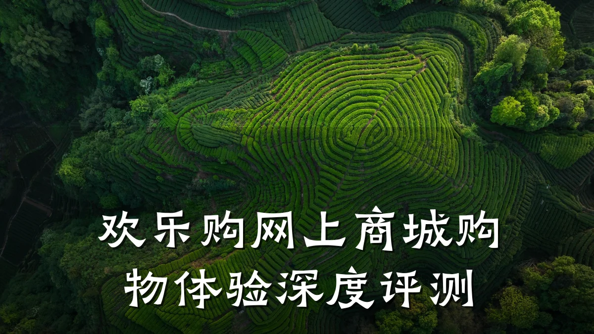 欢乐购网上商城购物体验深度评测