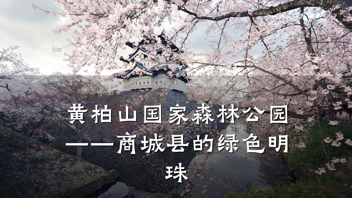 黄柏山国家森林公园——商城县的绿色明珠
