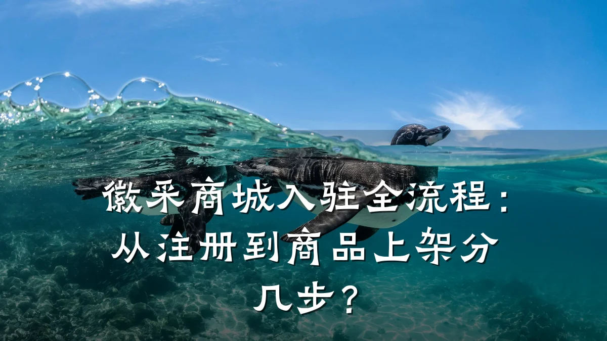 徽采商城入驻全流程：从注册到商品上架分几步？