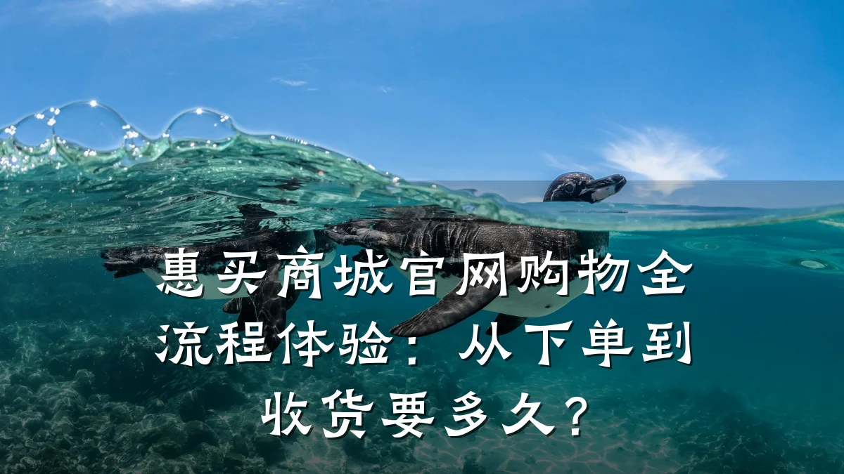 惠买商城官网购物全流程体验：从下单到收货要多久？