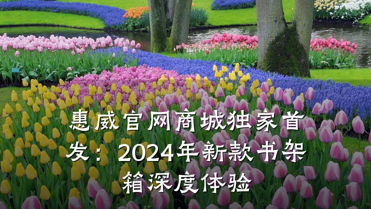 惠威官网商城独家首发:2024年新款书架箱深度体验