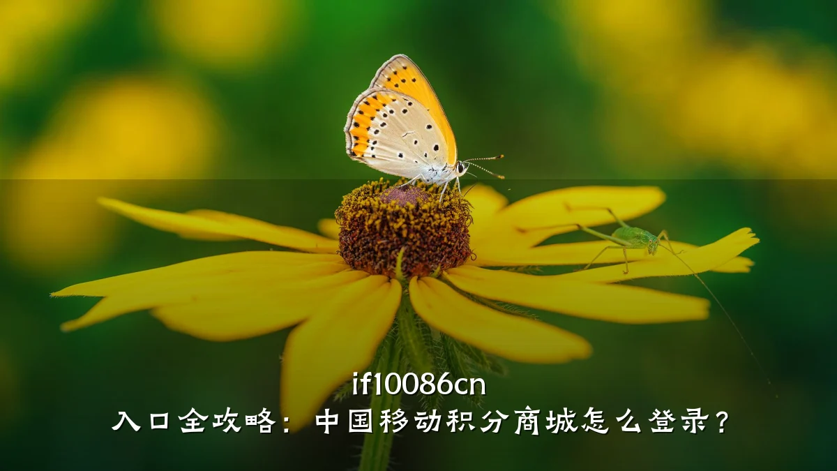 if10086cn 入口全攻略:中国移动积分商城怎么登录?