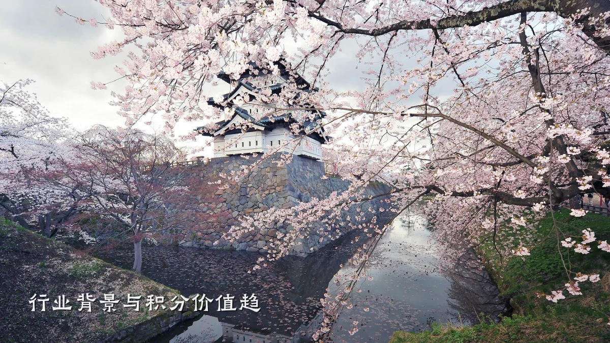 行业背景与积分价值趋