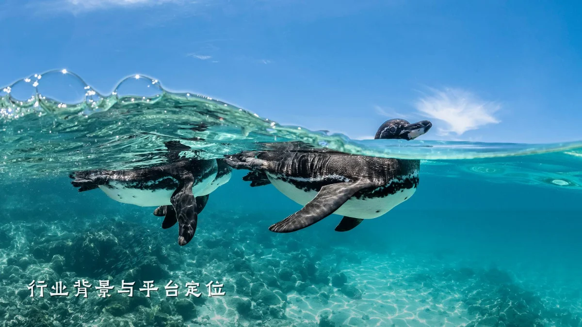 行业背景与平台定位