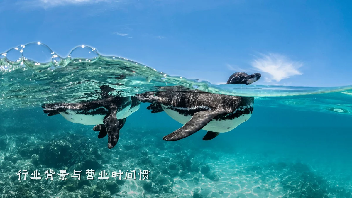 行业背景与营业时间惯