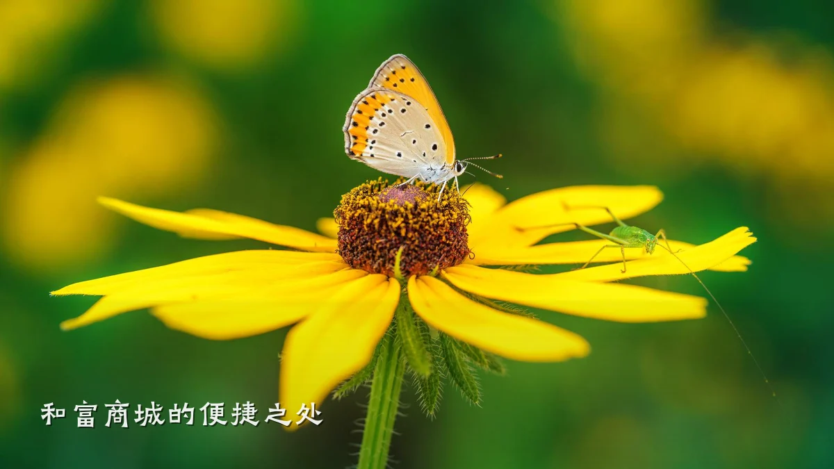 和富商城的便捷之处