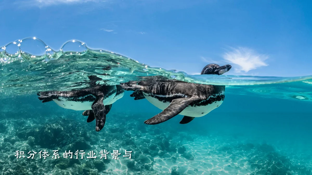 积分体系的行业背景与