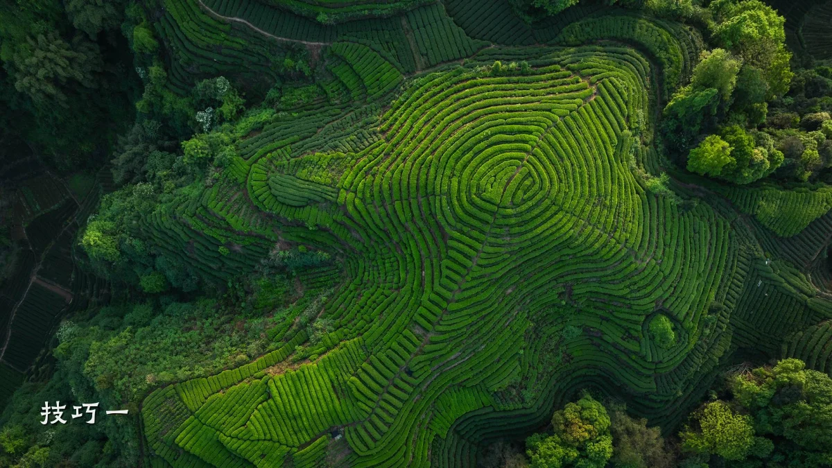 技巧一