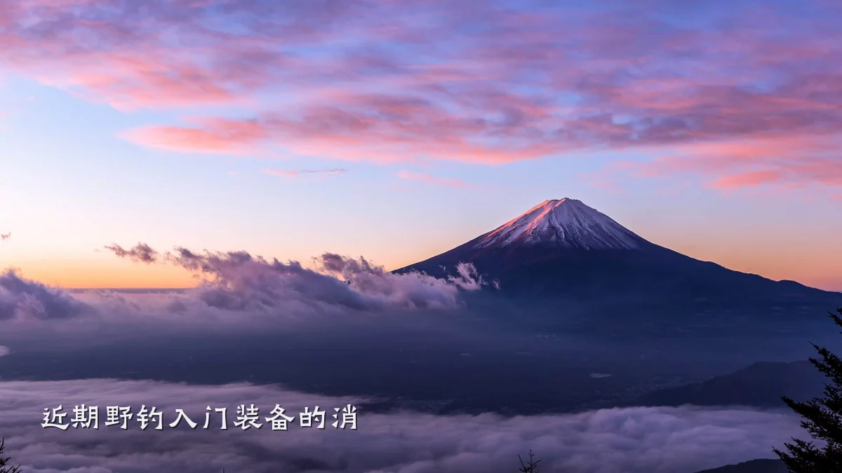近期野钓入门装备的消