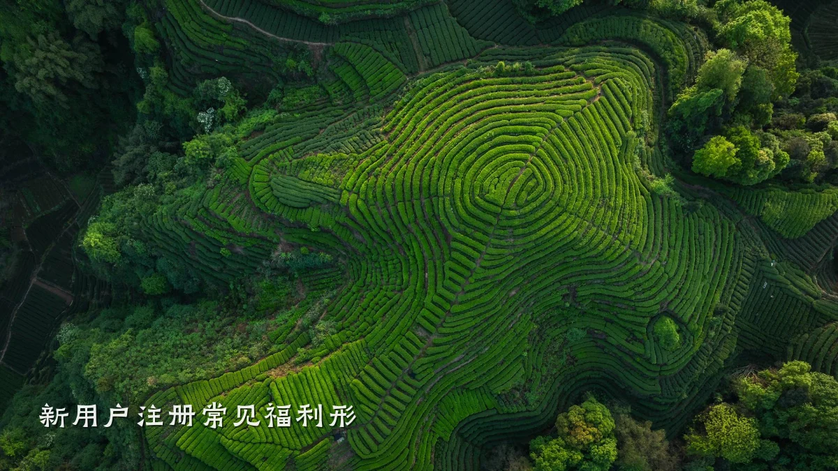 新用户注册常见福利形