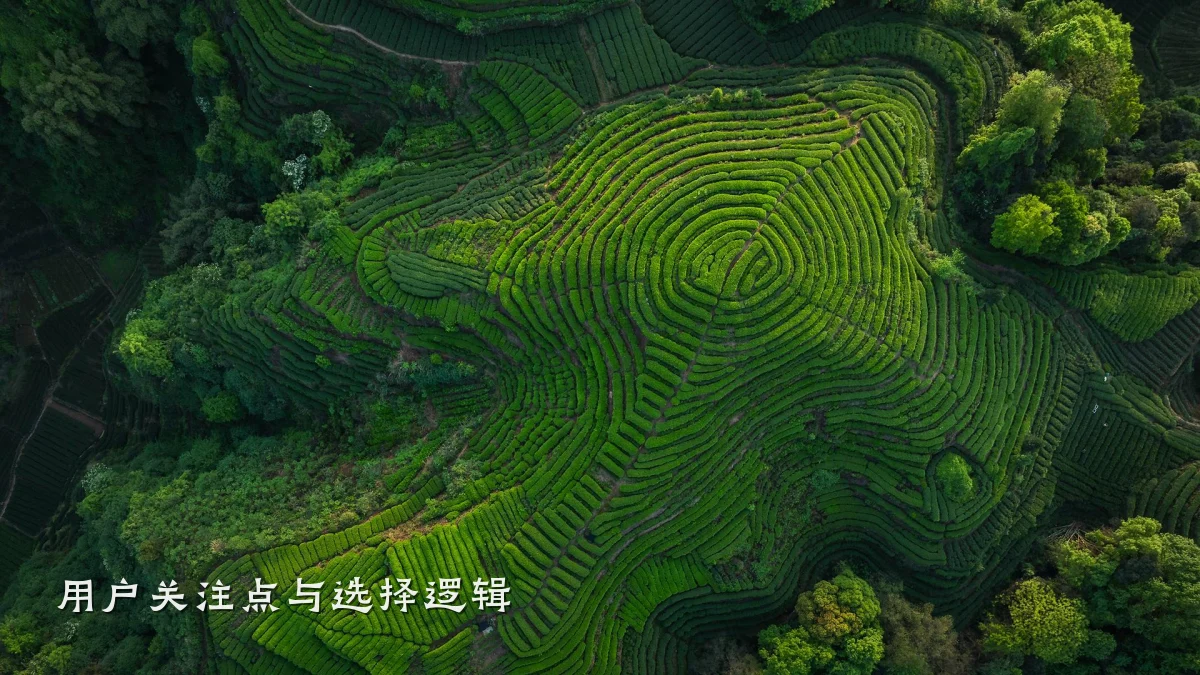 用户关注点与选择逻辑