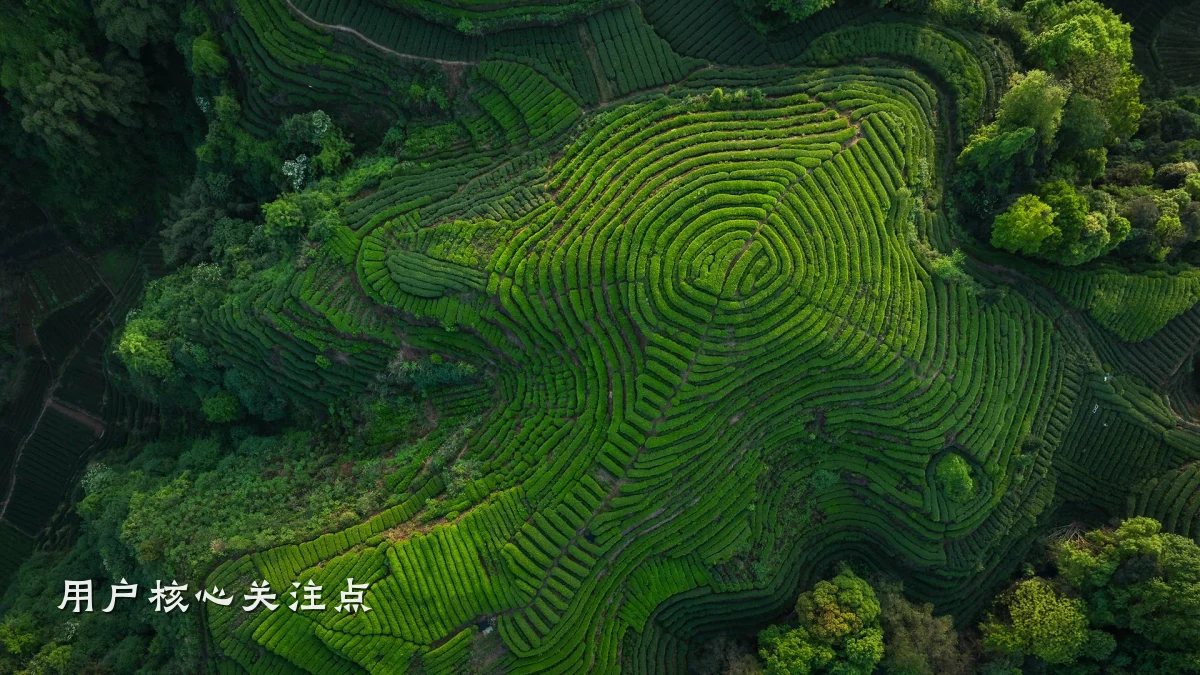 用户核心关注点