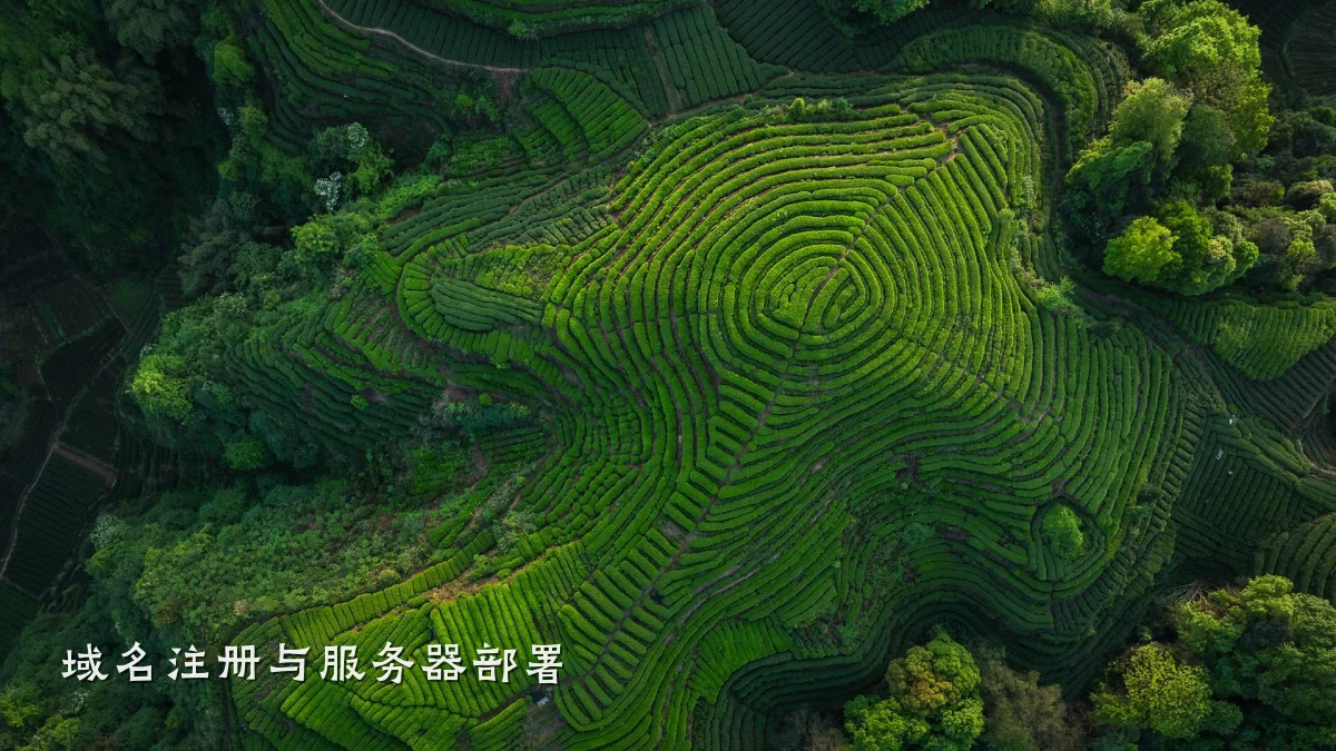 域名注册与服务器部署